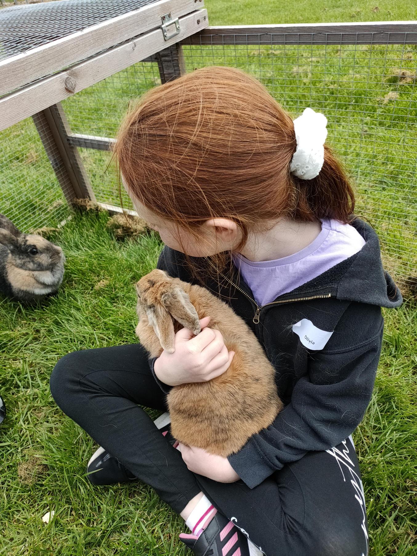A child holding a rabbit.