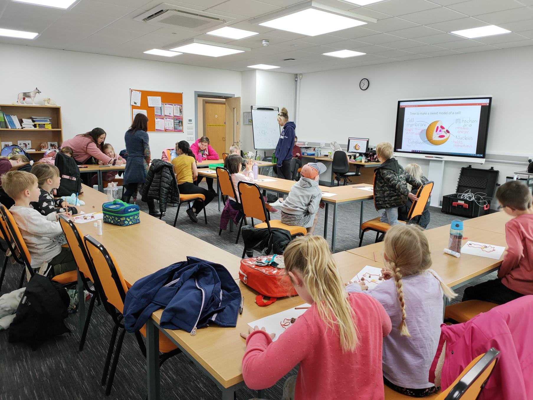 Children making cell diagrams in a classroom.