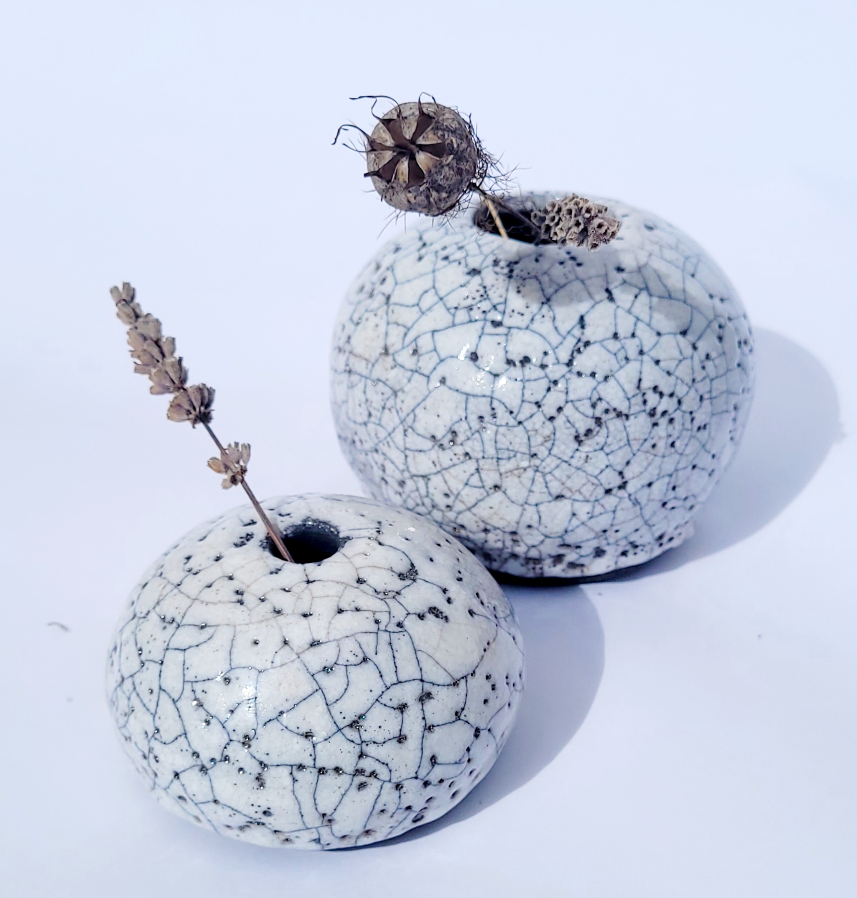 Artwork prepared for the SUSTAIN exhibition