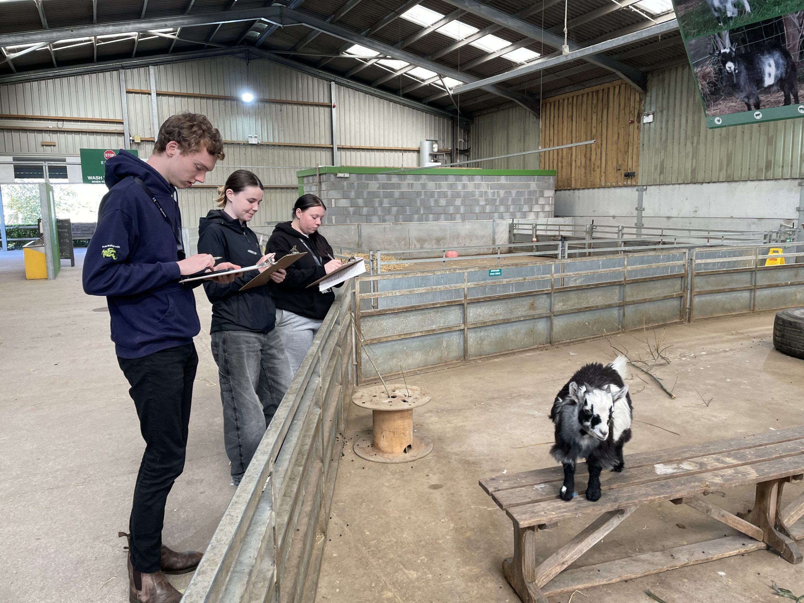 Students observing a goat at our Puxton Park facility