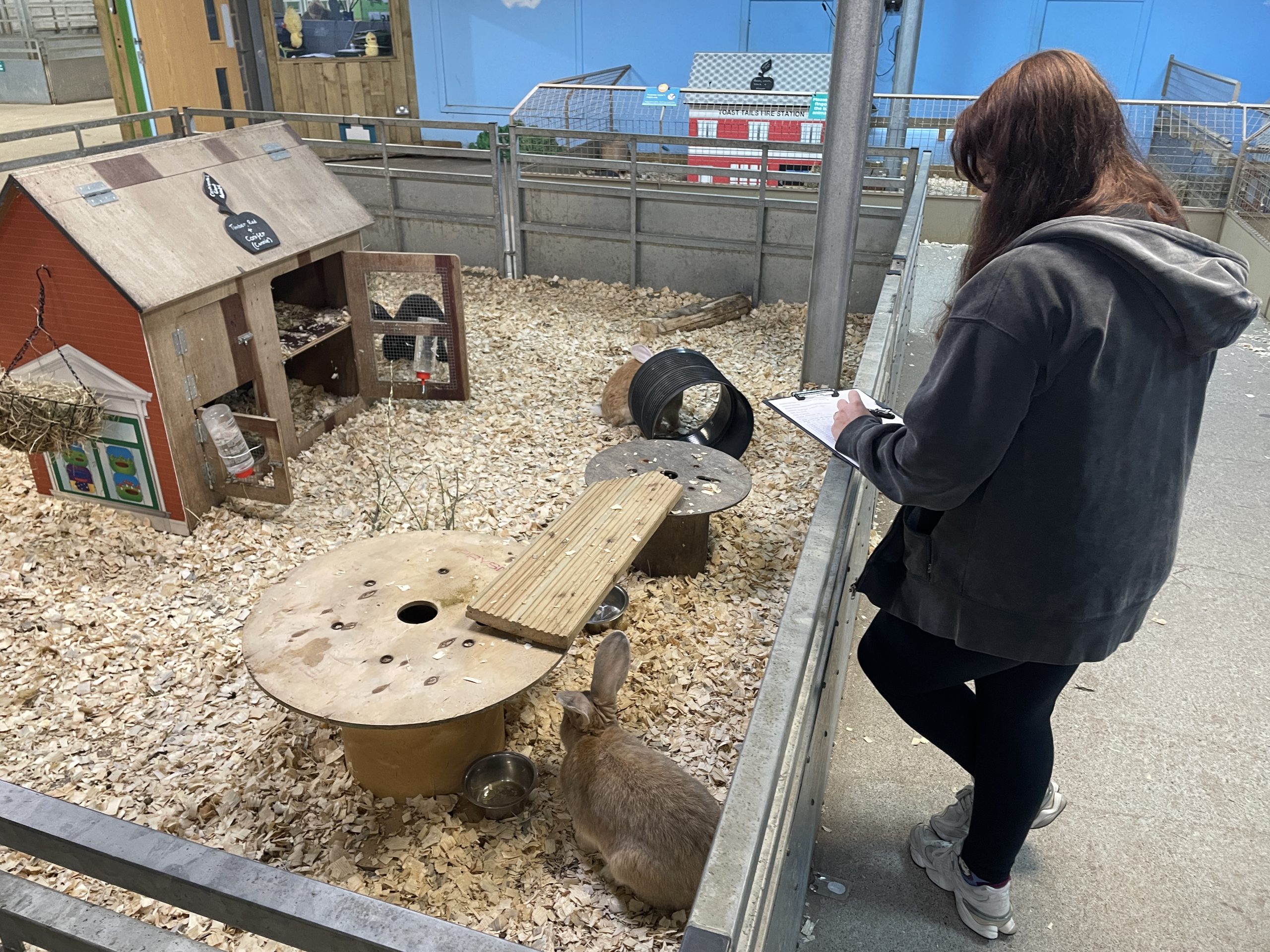 UCW student conducting behavioural observations