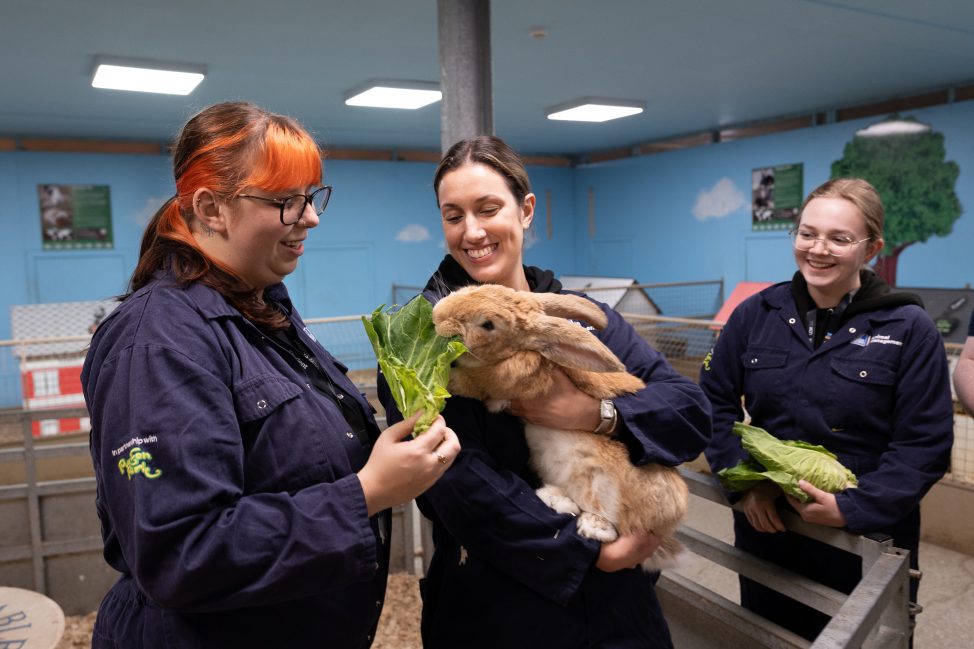 Animal students feeding a rabbit