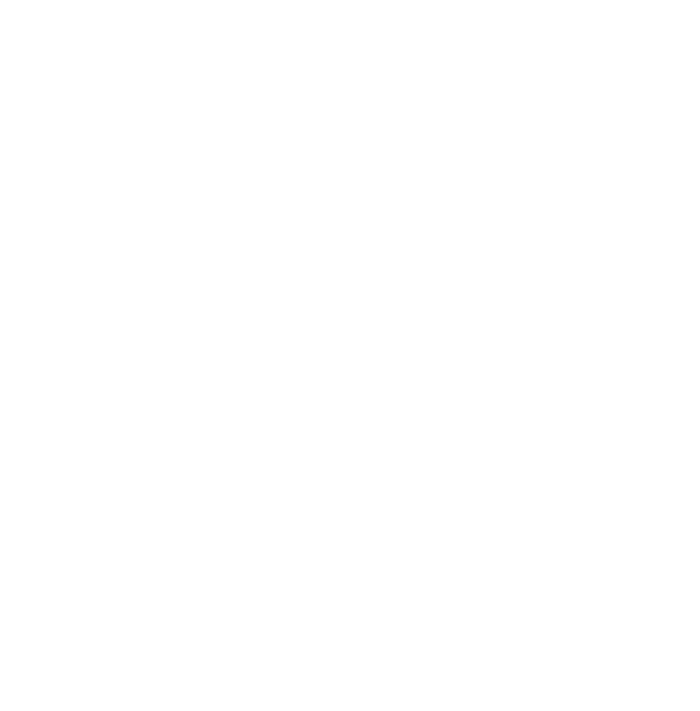 Bristol City Council Logo