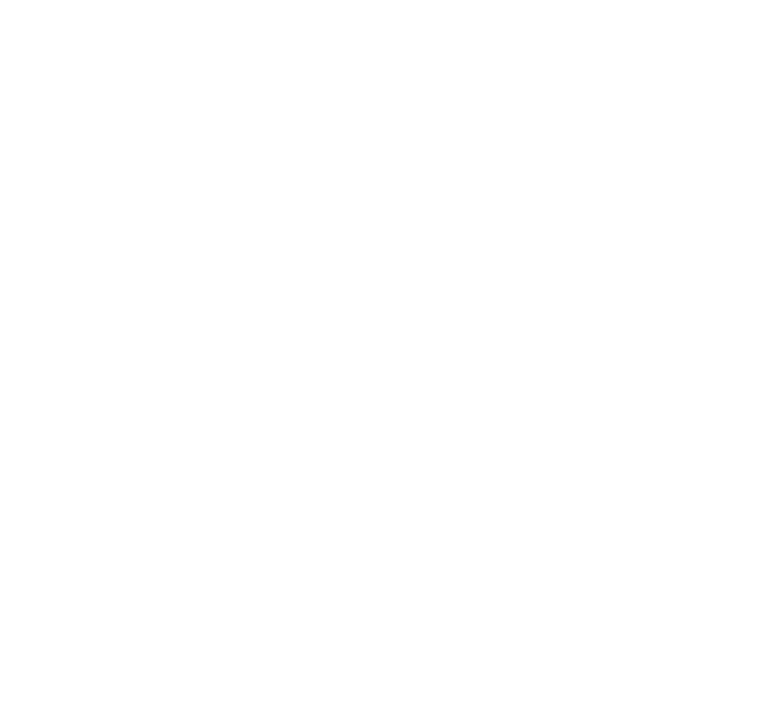 the spark company logo