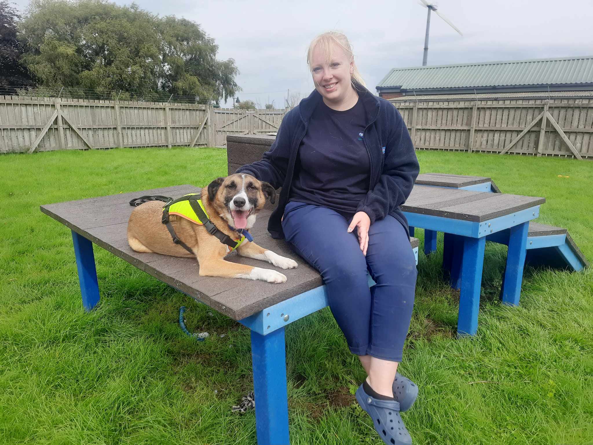 Hannah and a dog on a bench.