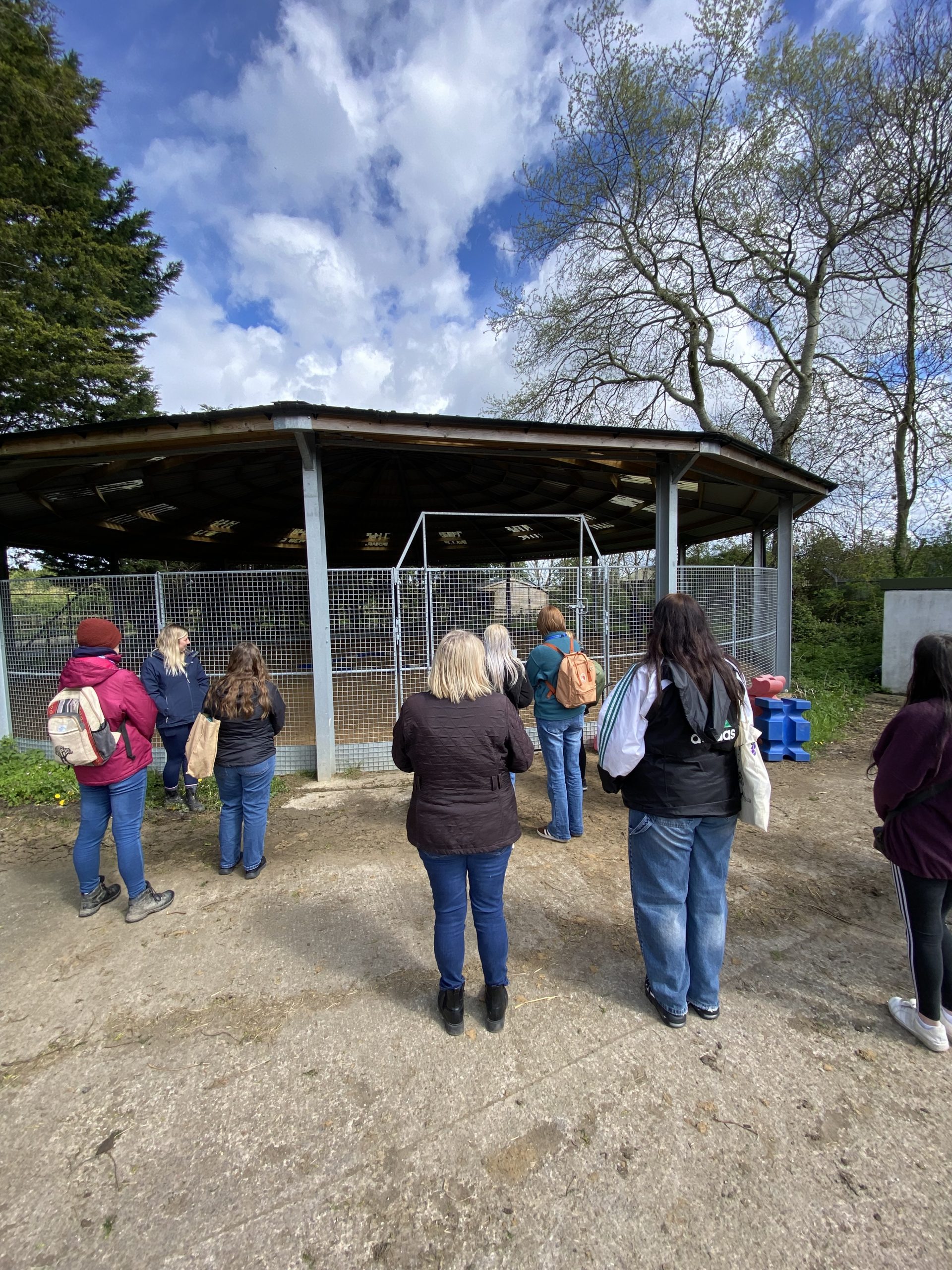 Featured image for “Students Learn About Animal Welfare Through Horseworld Visit”