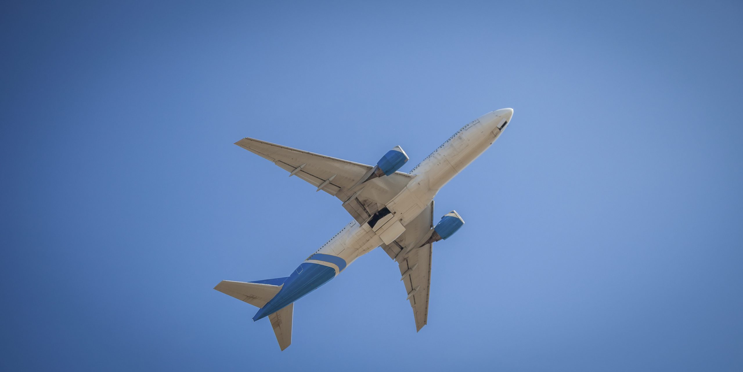 plane flies in the sky