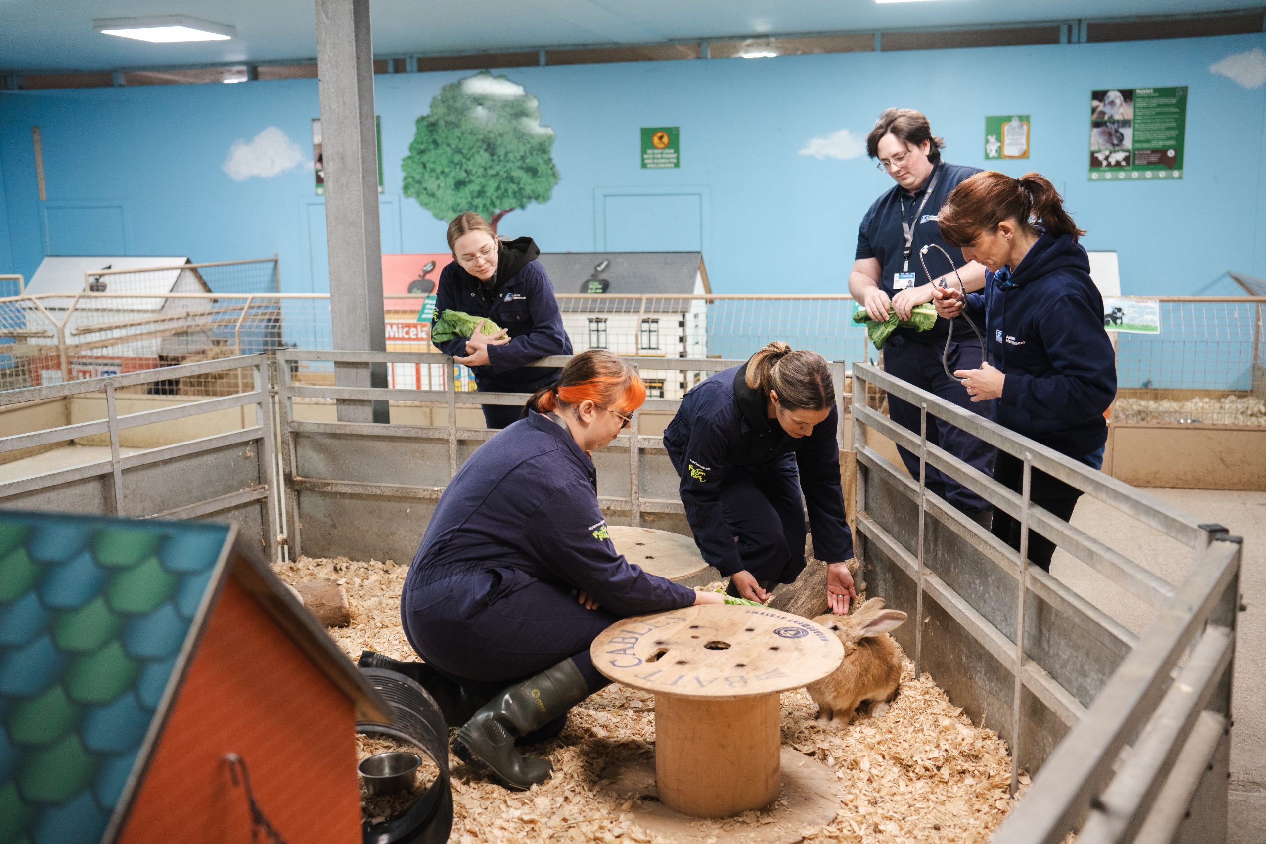 Animal students at UCW
