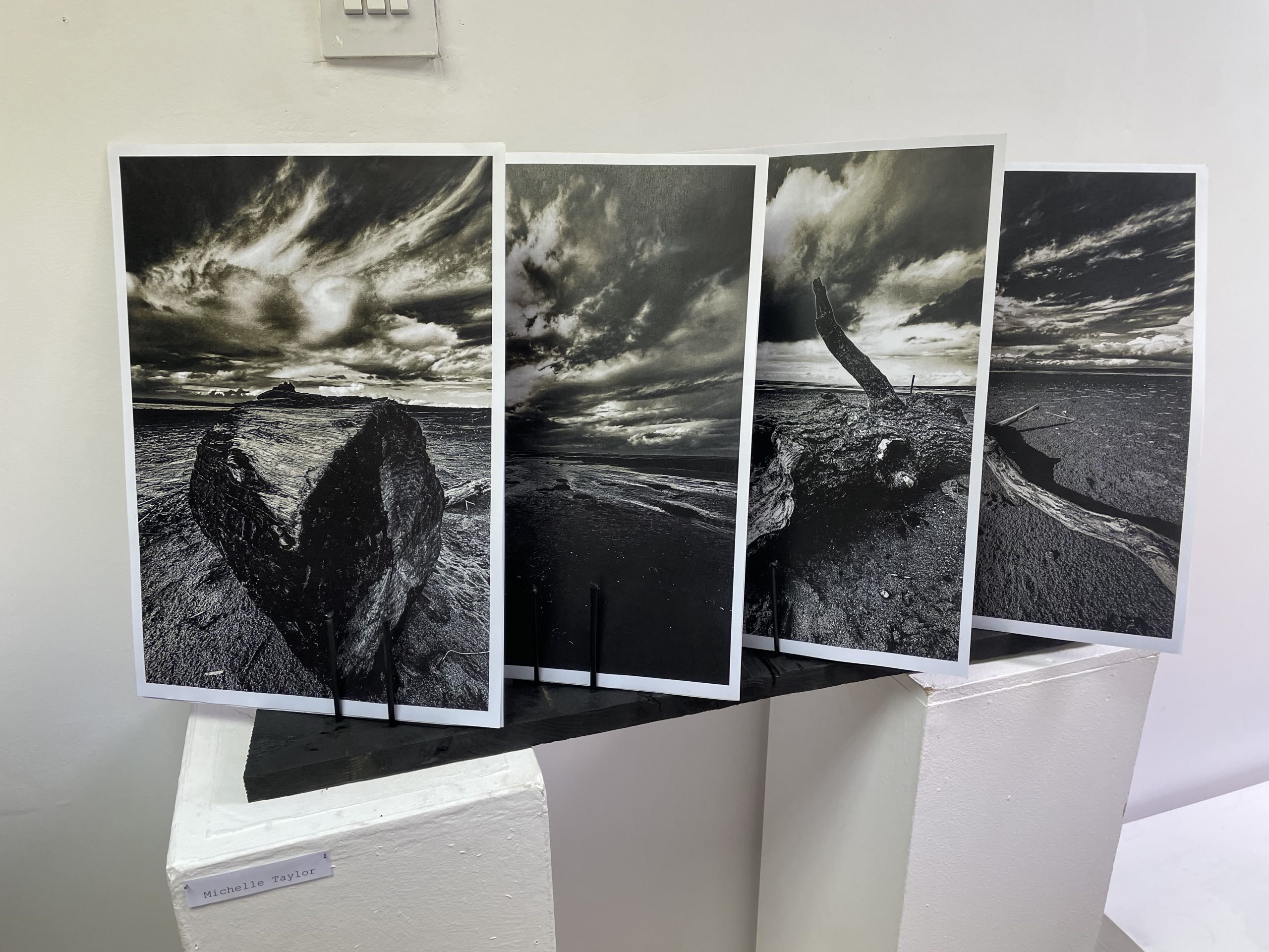 Art exhibited in the Art Exhibition