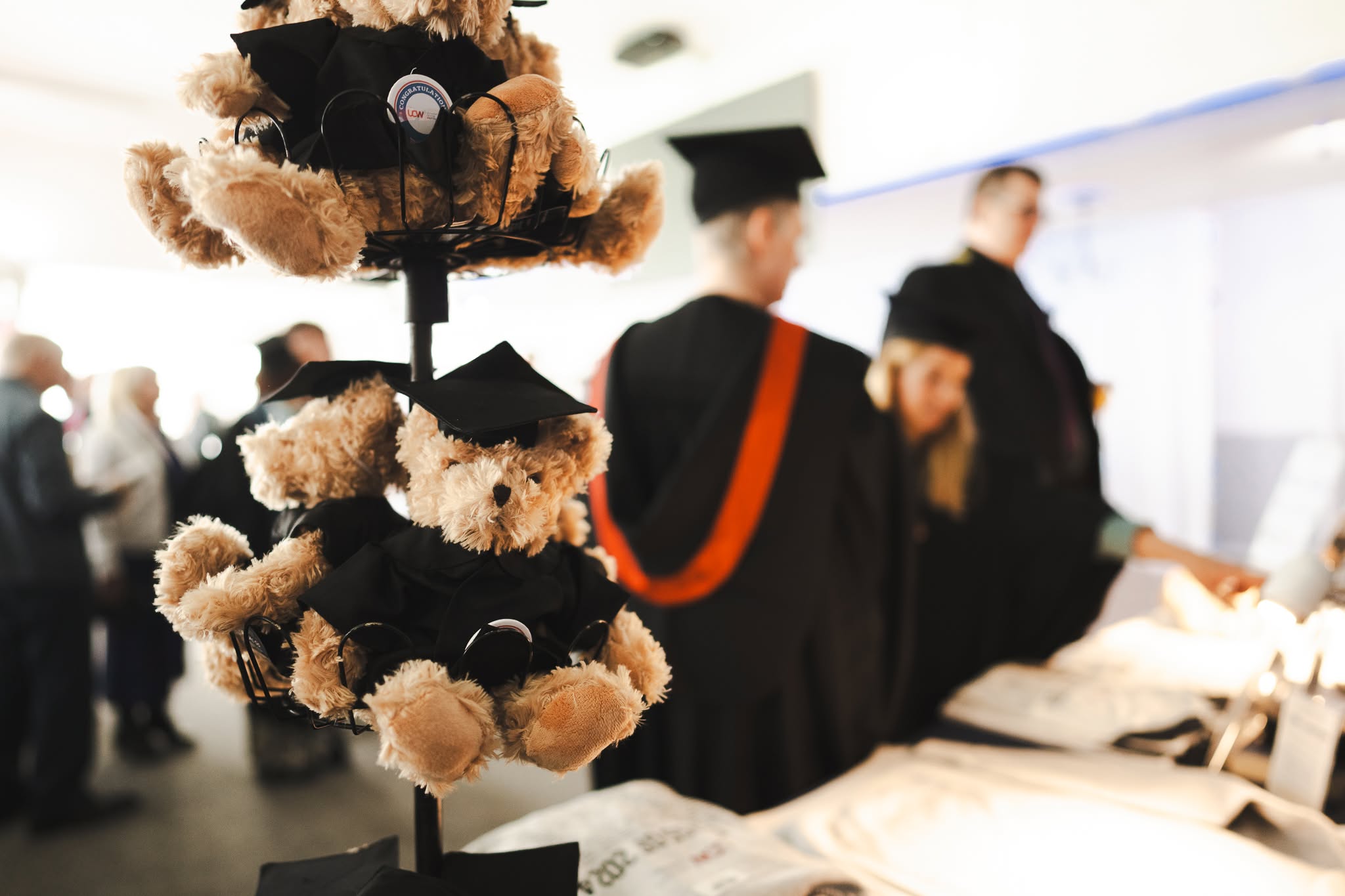 Graduation Teddy Bears